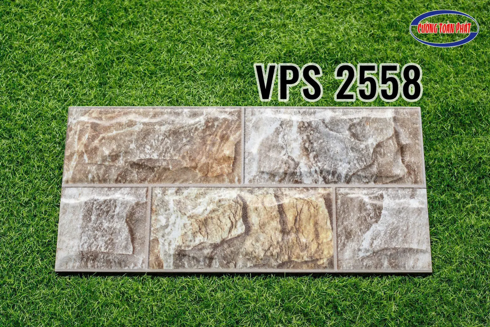 VPS 2558