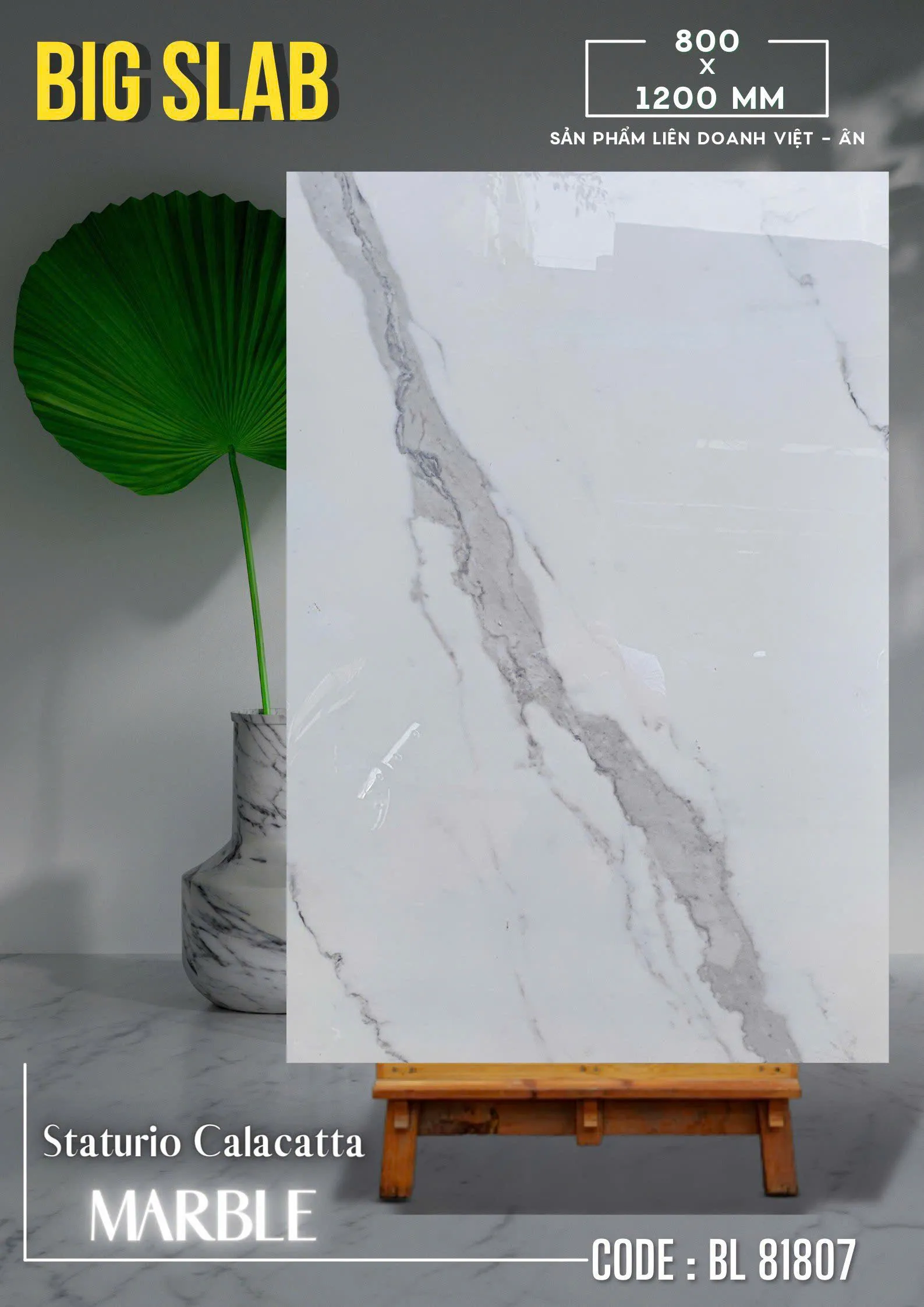 Staturio Calacatta MARBLE 