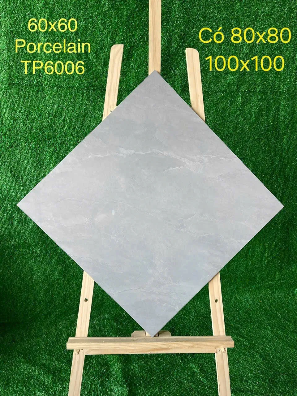 procelain TP6006