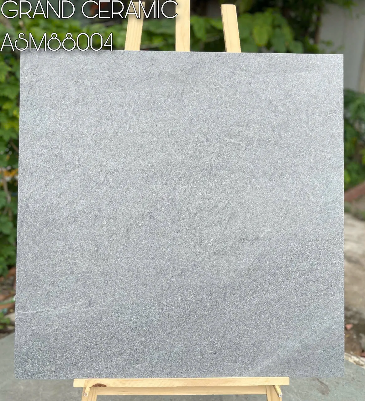 Gạch Ốp Lát Ceramic ASM88004
