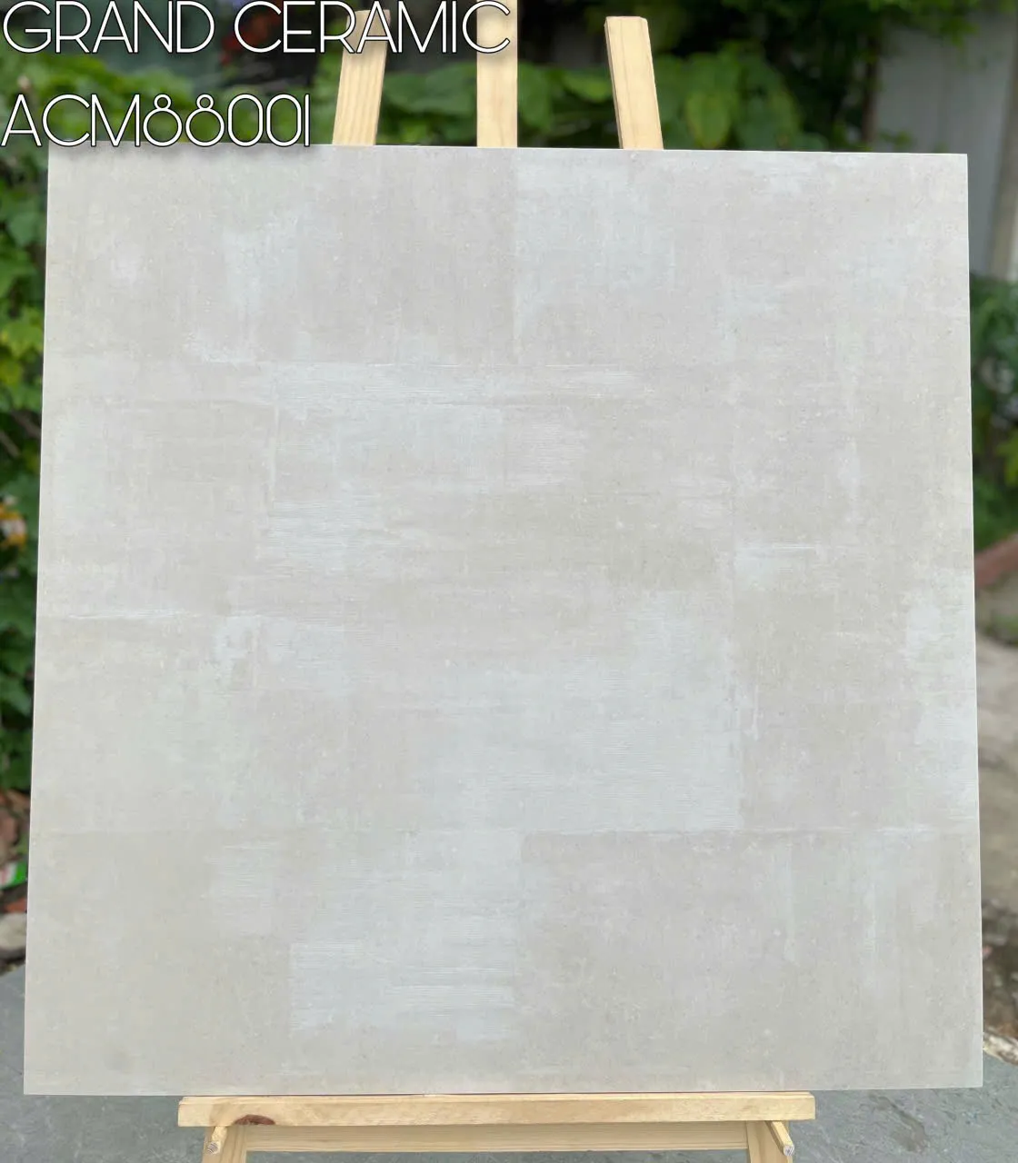 Gạch Ốp Lát Ceramic ACM88001